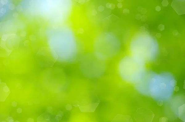 Natural green — Stock Photo, Image