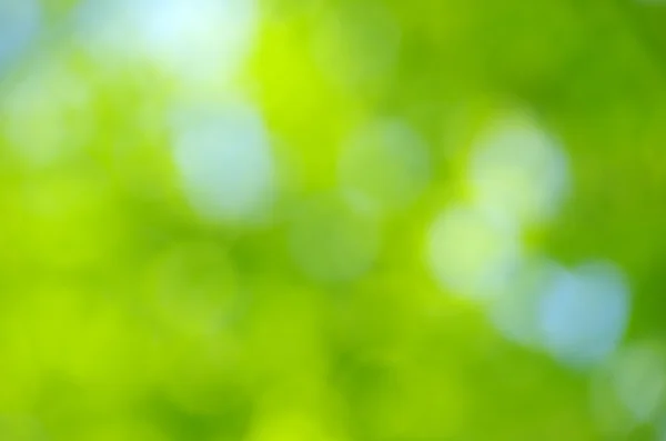Natuurlijke groen — Stockfoto