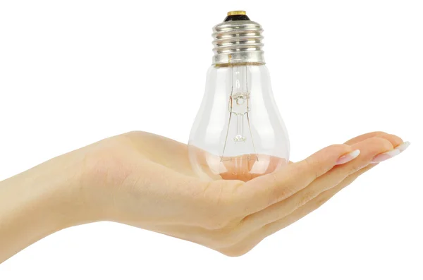 Hand holding bulb — Stock Photo, Image