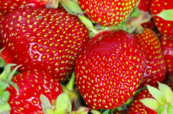 Erdbeertextur — Stockfoto