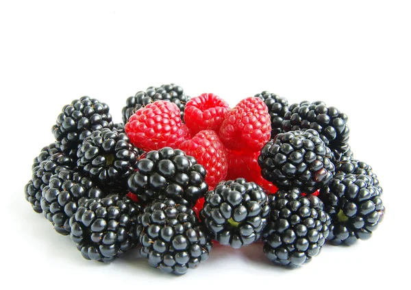 树莓和黑莓 — 图库照片