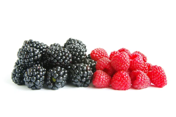Framboos en blackberry — Stockfoto