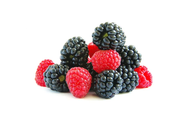树莓和黑莓 — 图库照片
