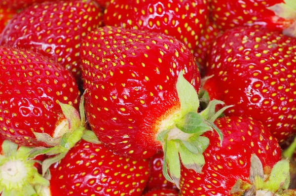 Texture fraise — Photo