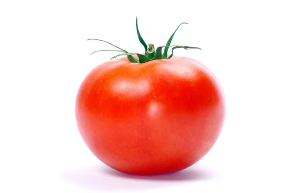 stock image Tomato