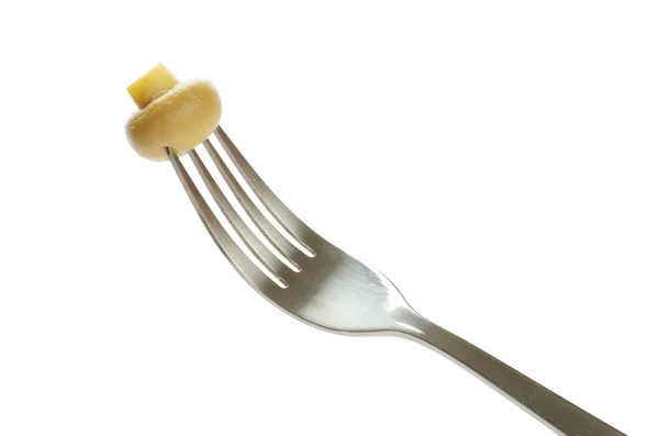 Svamp på gaffeln — Stockfoto
