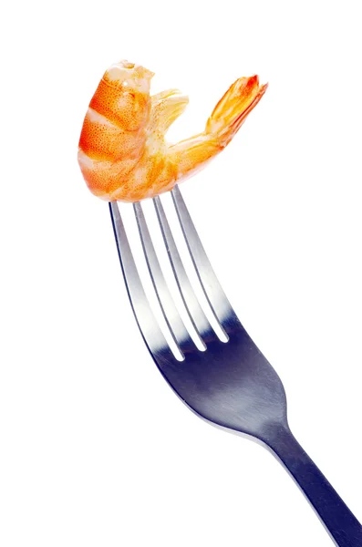 Gamberetti sulla forchetta — Foto Stock