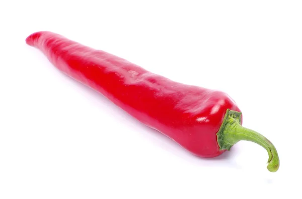 Chili pepper Stock Photo