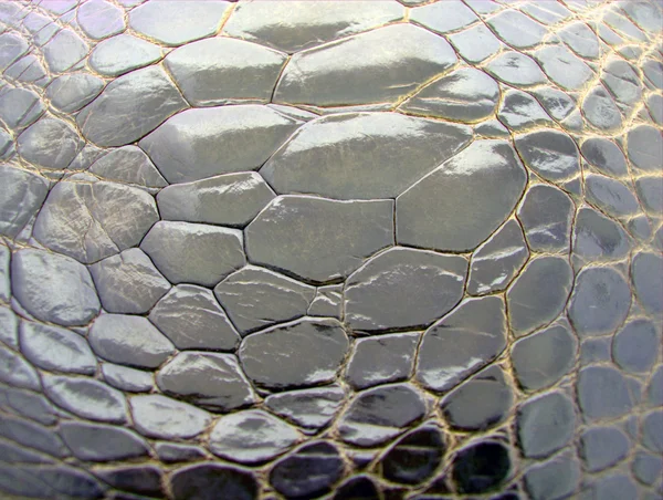 stock image Crocodile skin - background