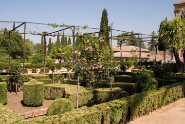 Alhambra, granada göster