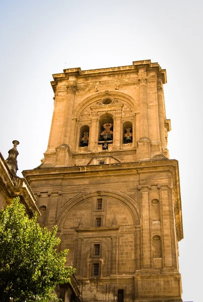 Ornamento di Catedral a Granada, Spagna — Foto Stock