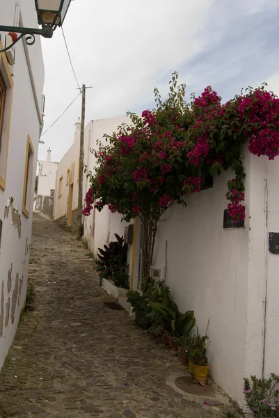 Вид на улицу в Алгарве, Португалия — стоковое фото