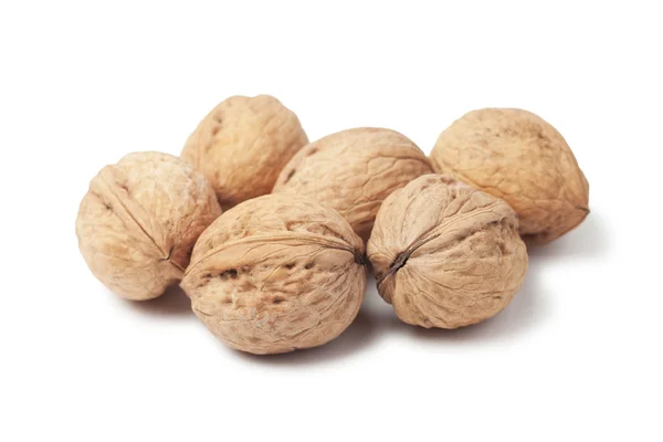 stock image Circassian walnut isolated on white background