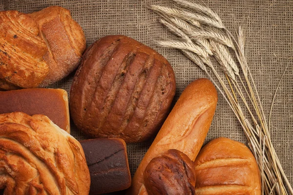 新鲜面包的黑麦的耳朵 — 图库照片