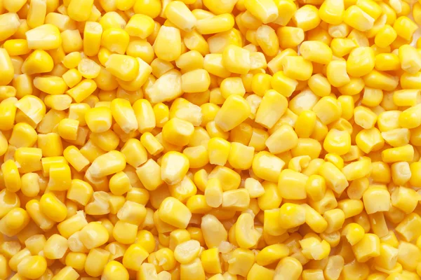 Фон консервованих кукурудзи — стокове фото