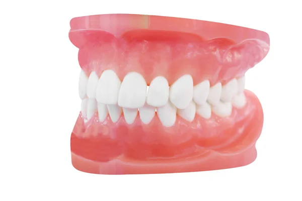 Dentures — Stock Photo, Image