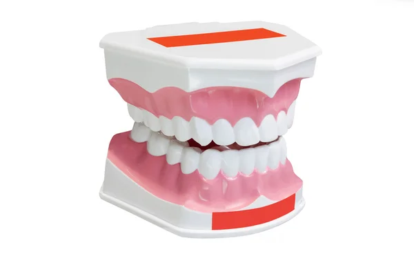 stock image Dentures