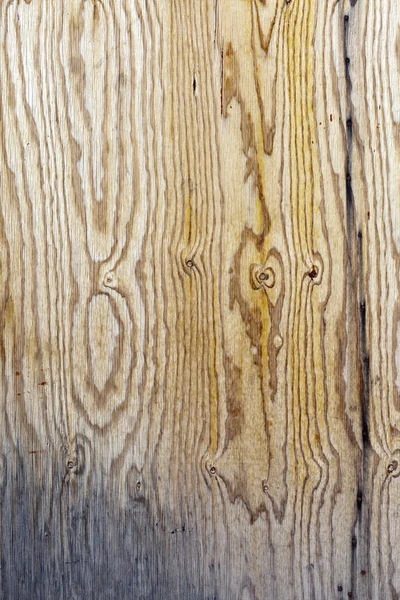 风化木材 — 图库照片