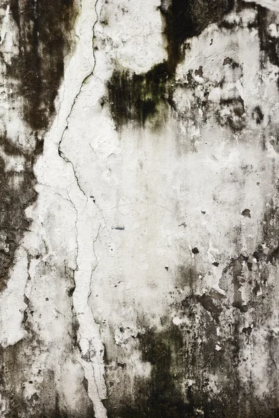 Фон з високо деталізованої фрагментованої кам'яної стіни — стокове фото