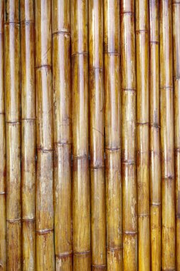 Old bamboo background clipart