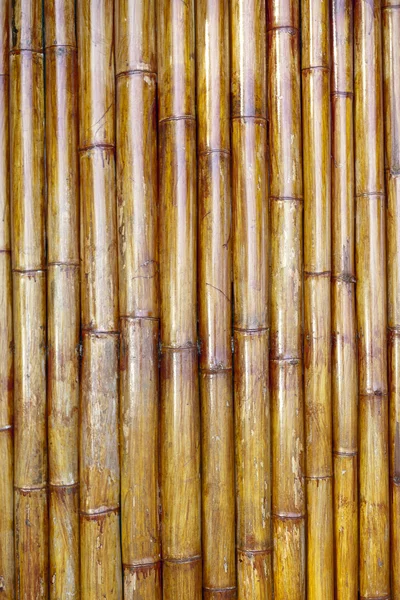 Oude bamboe achtergrond — Stockfoto