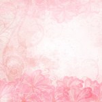 Beautiful pink rose — Stock Vector #2436253