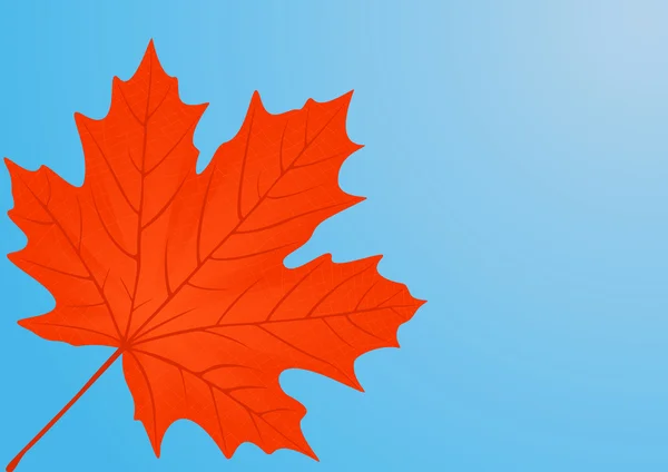 Осенний красный кленовый лист . — стоковое фото