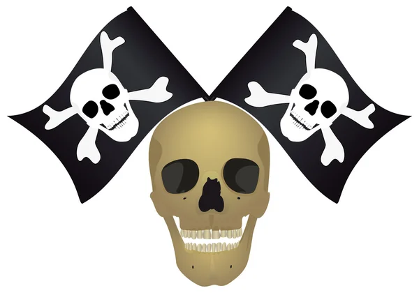 Skull with the crossed flags. — Stock Photo, Image