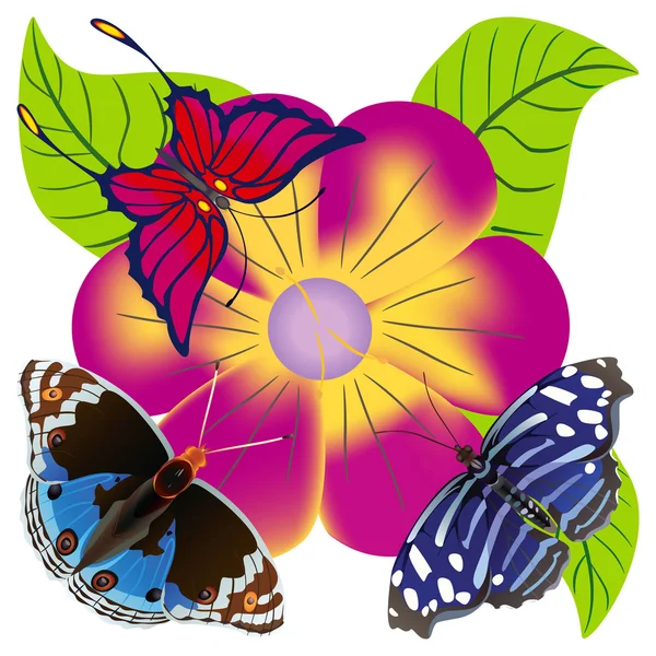 Abstraktní motýl proti květ. — Stock fotografie