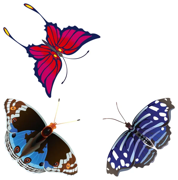 Abstraktní exotických motýlů. — Stock fotografie
