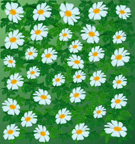 Abstract flower background. — Stock Photo, Image