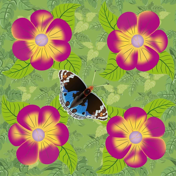 Fiore e farfalla modello senza soluzione di continuità . — Foto Stock