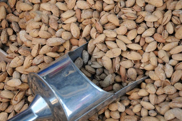 Unshelled Almonds and Metal Scoop — Stock Photo, Image