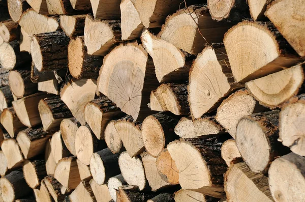 Closeup Woodpile — Stock Photo, Image