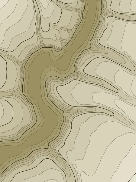 Carte topographique abstraite — Image vectorielle