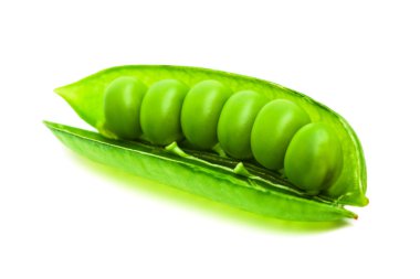 Fresh pea pod clipart