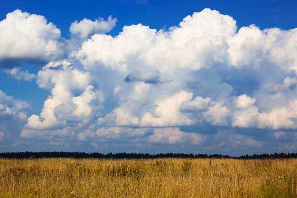 stock image Clouds over a field