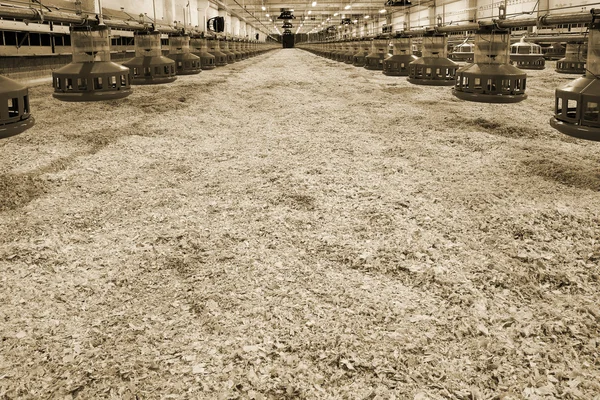새로운 가금류 농장 — 스톡 사진
