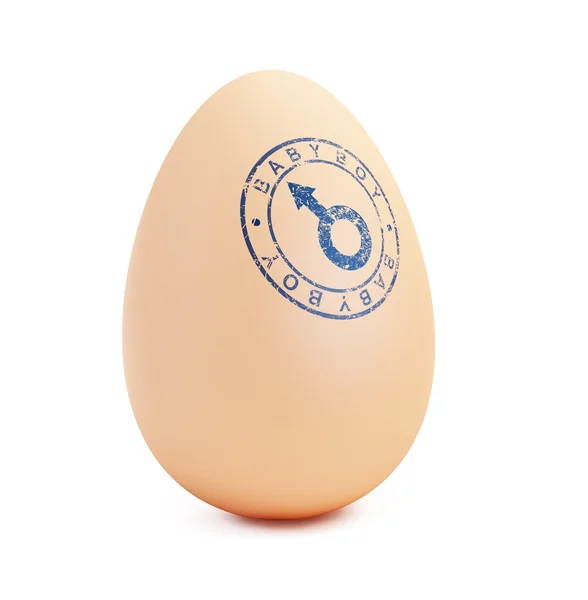 Baby boy egg — Stock Photo, Image