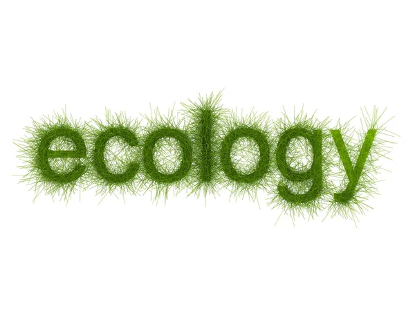 Eco styl trávy dopisy — Stock fotografie