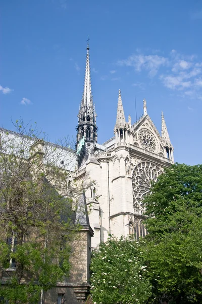 stock image Notre Dame de Paris