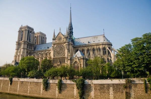 stock image Notre Dame de Paris