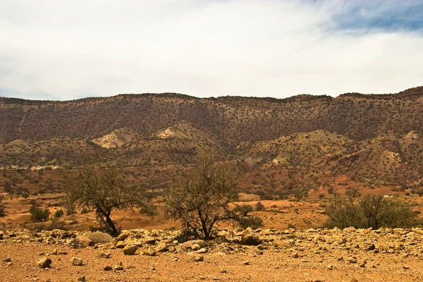 Desierto marroquí —  Fotos de Stock