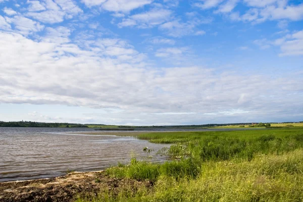 stock image Summer landscape