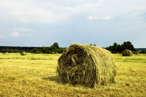 Hö-stackar på området - sommaren landsbygdens landskap — Stockfoto