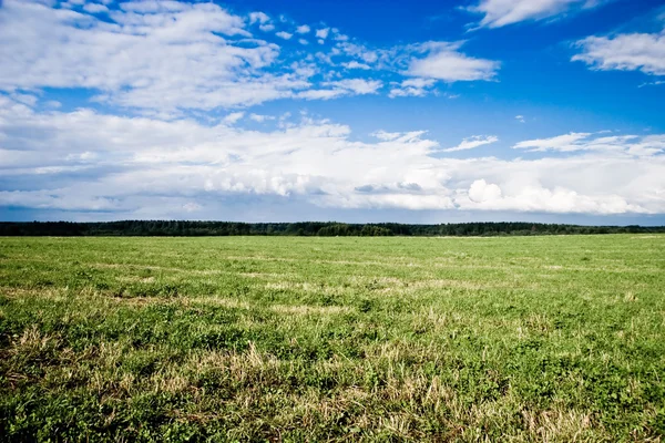 Sommar landskap - soliga fält — Stockfoto