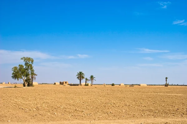 Marokkanische Wüste — Stockfoto