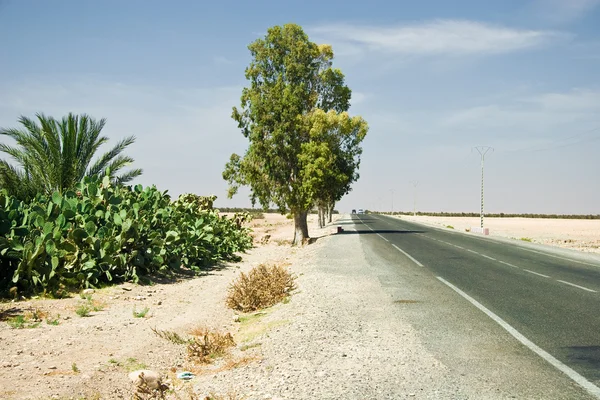 Camino a Agadir - Marruecos —  Fotos de Stock