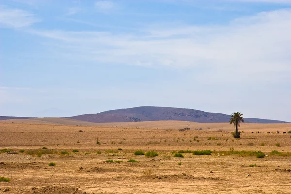 Μαροκινή έρημο — Φωτογραφία Αρχείου