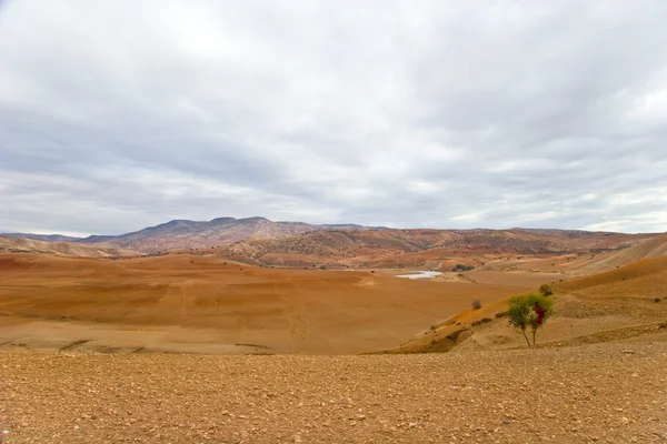 Morrocan desert — Stock Photo, Image